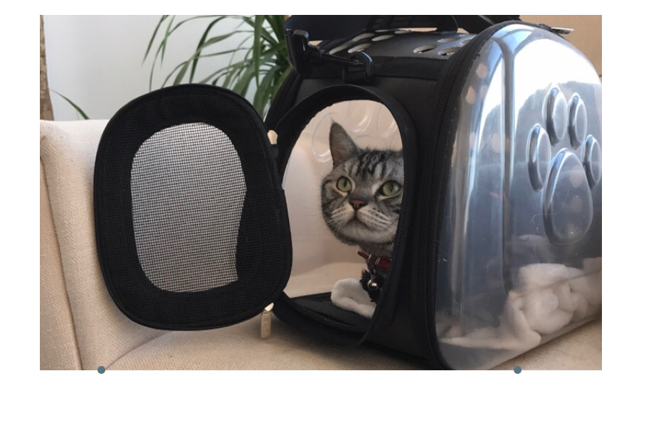 Wildcore VistaPaw™ Transparent Pet Backpack for Cats & Small Dogs