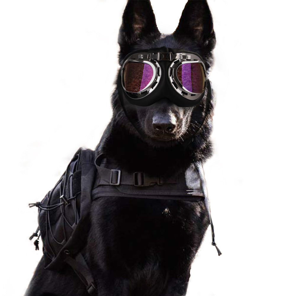 Wildcore TrailShades™ Dog Adventure Sunglasses
